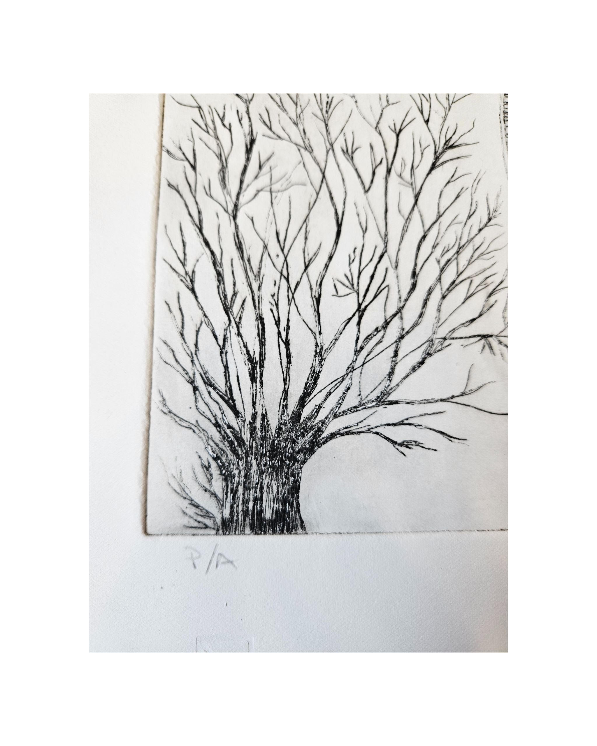 Algún Arbol