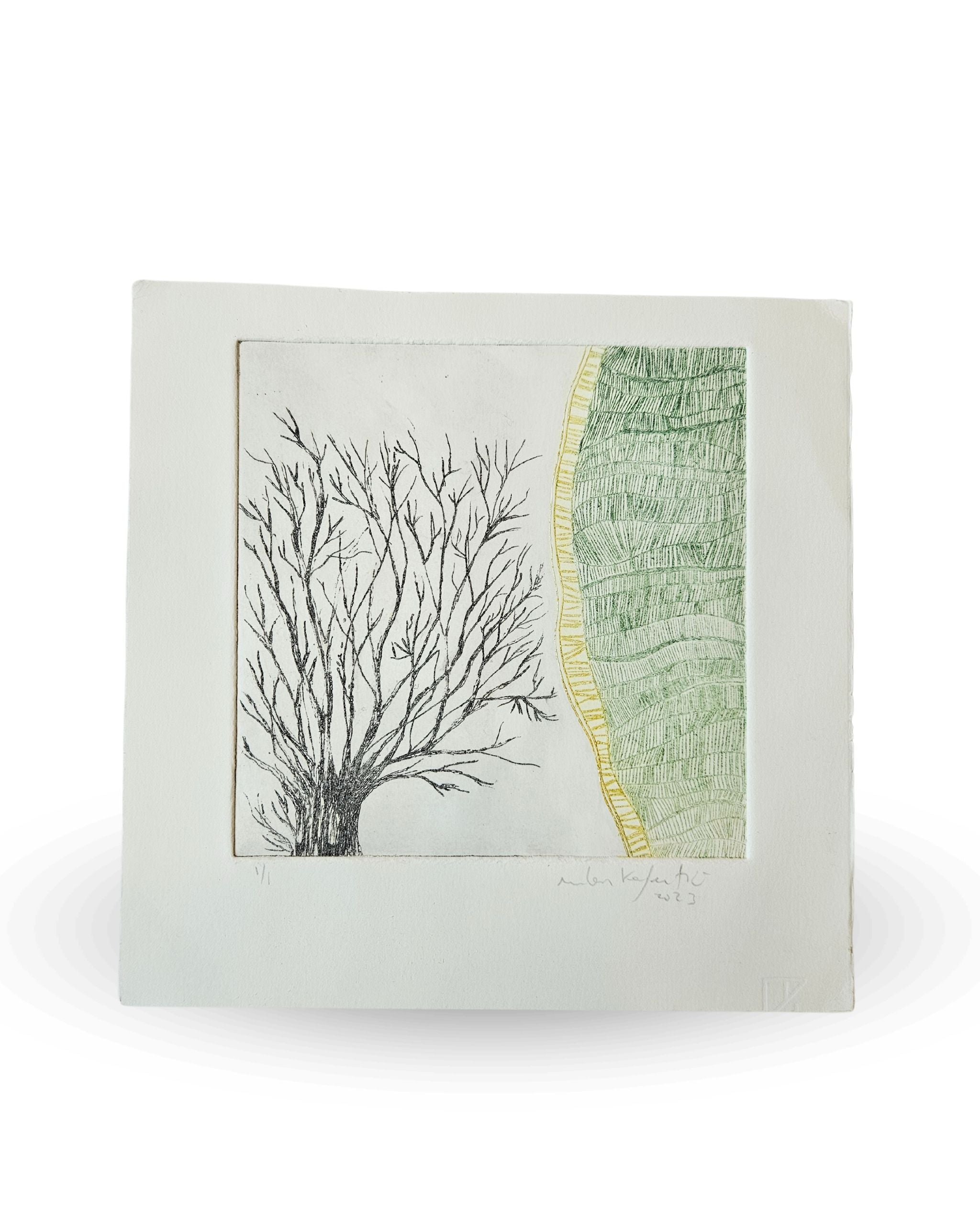 Algún Árbol Verde