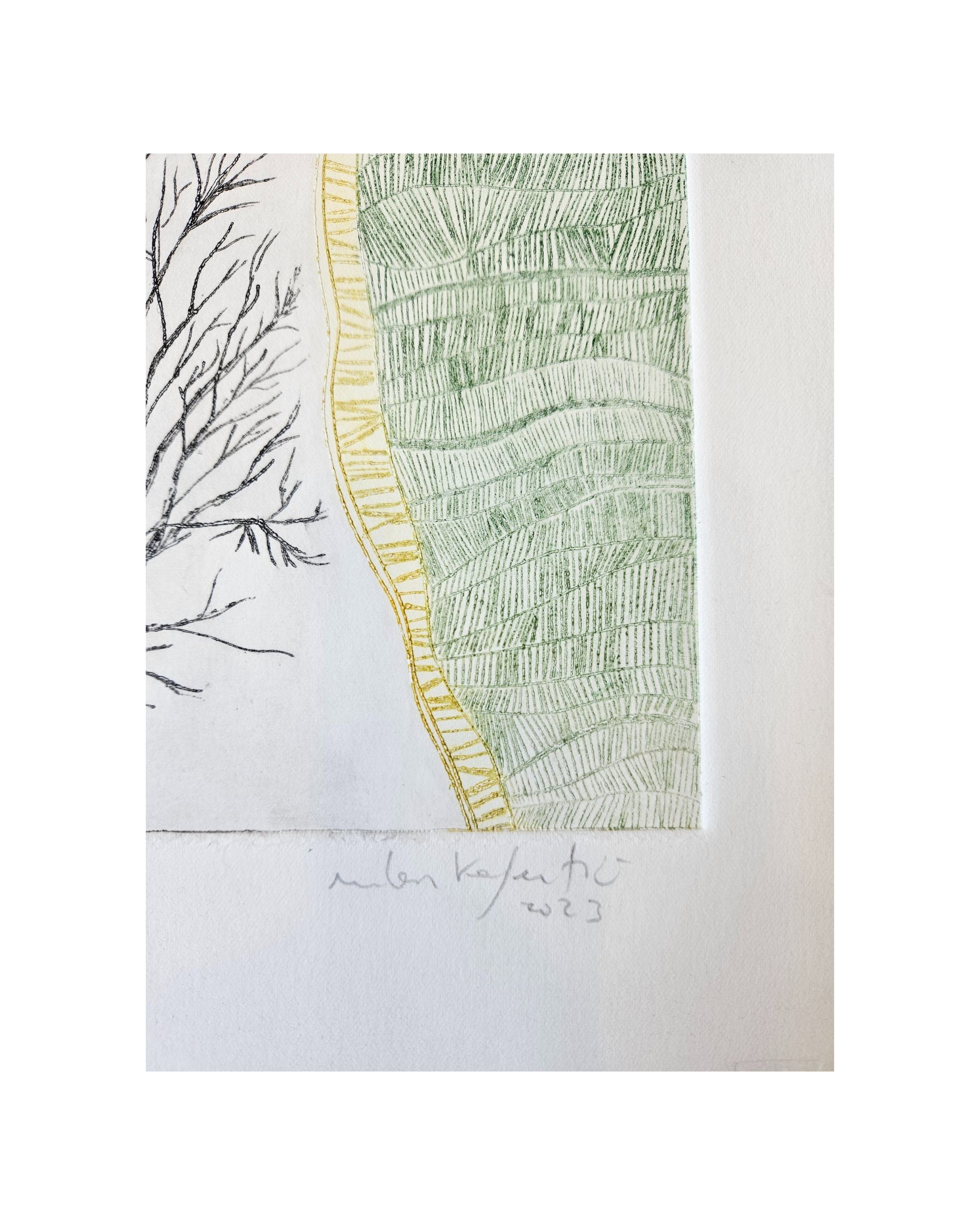 Algún Árbol Verde