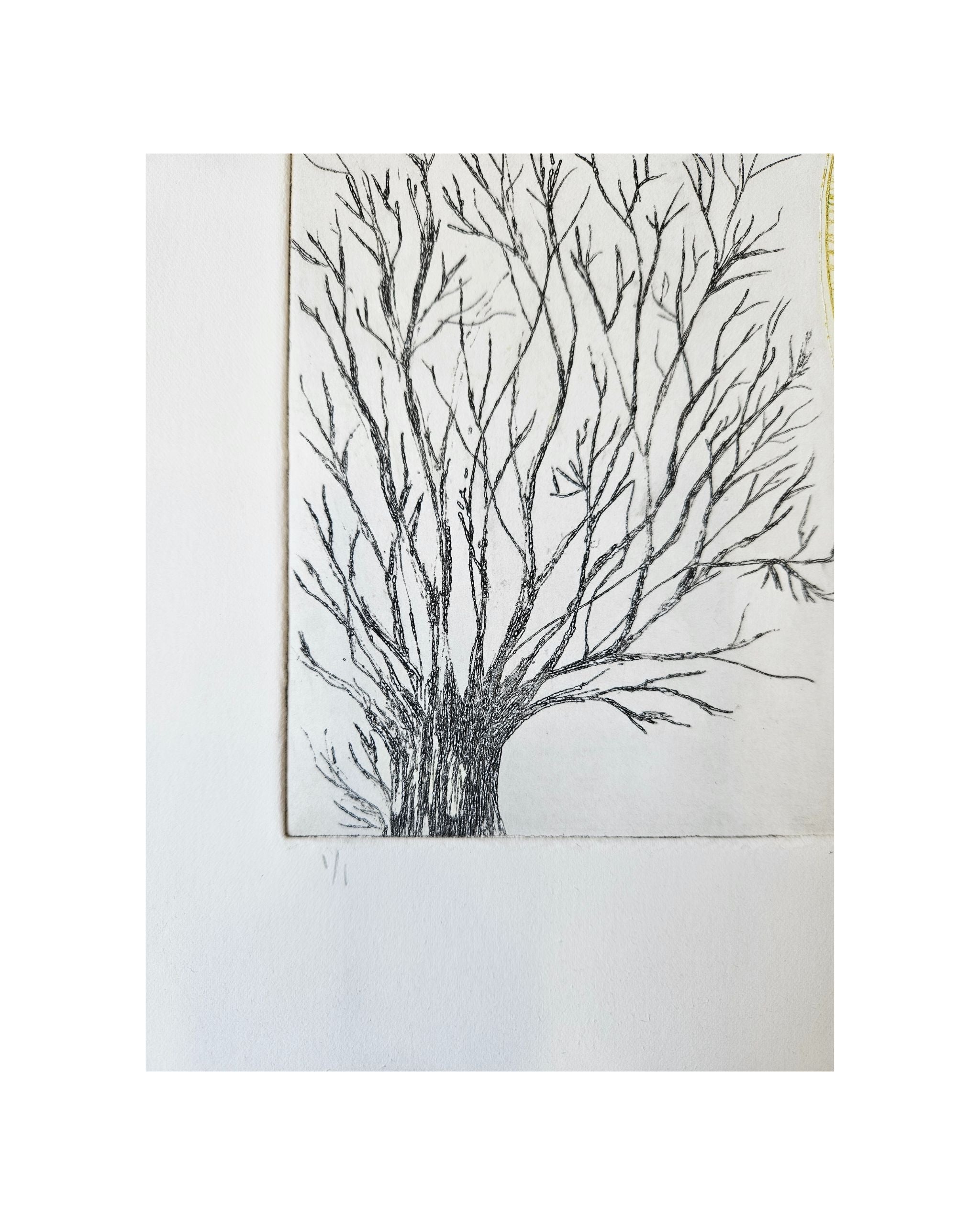 Algún Árbol Verde