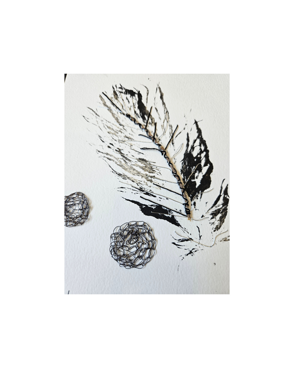 Pluma Plateada Intervenida II