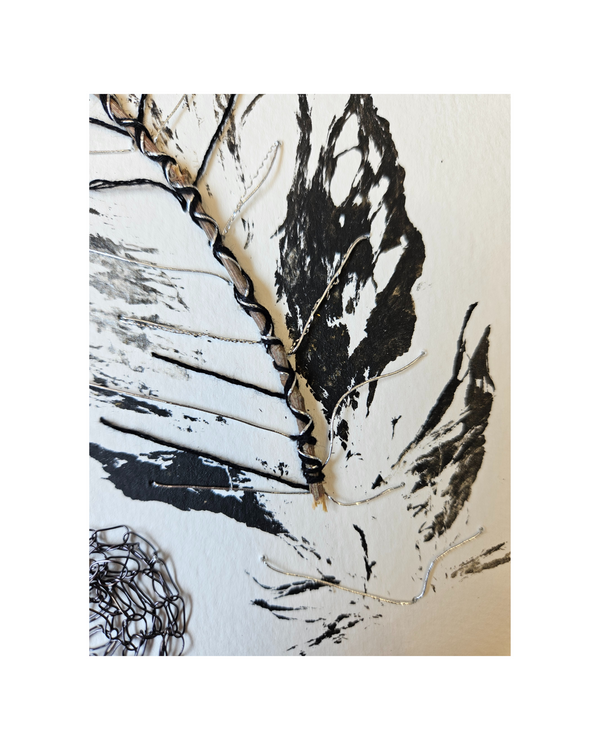 Pluma Plateada Intervenida II