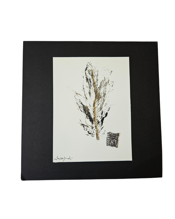 Pluma Plateada Intervenida I