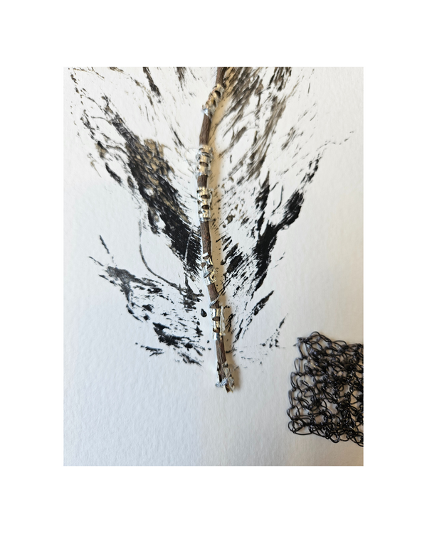 Pluma Plateada Intervenida I