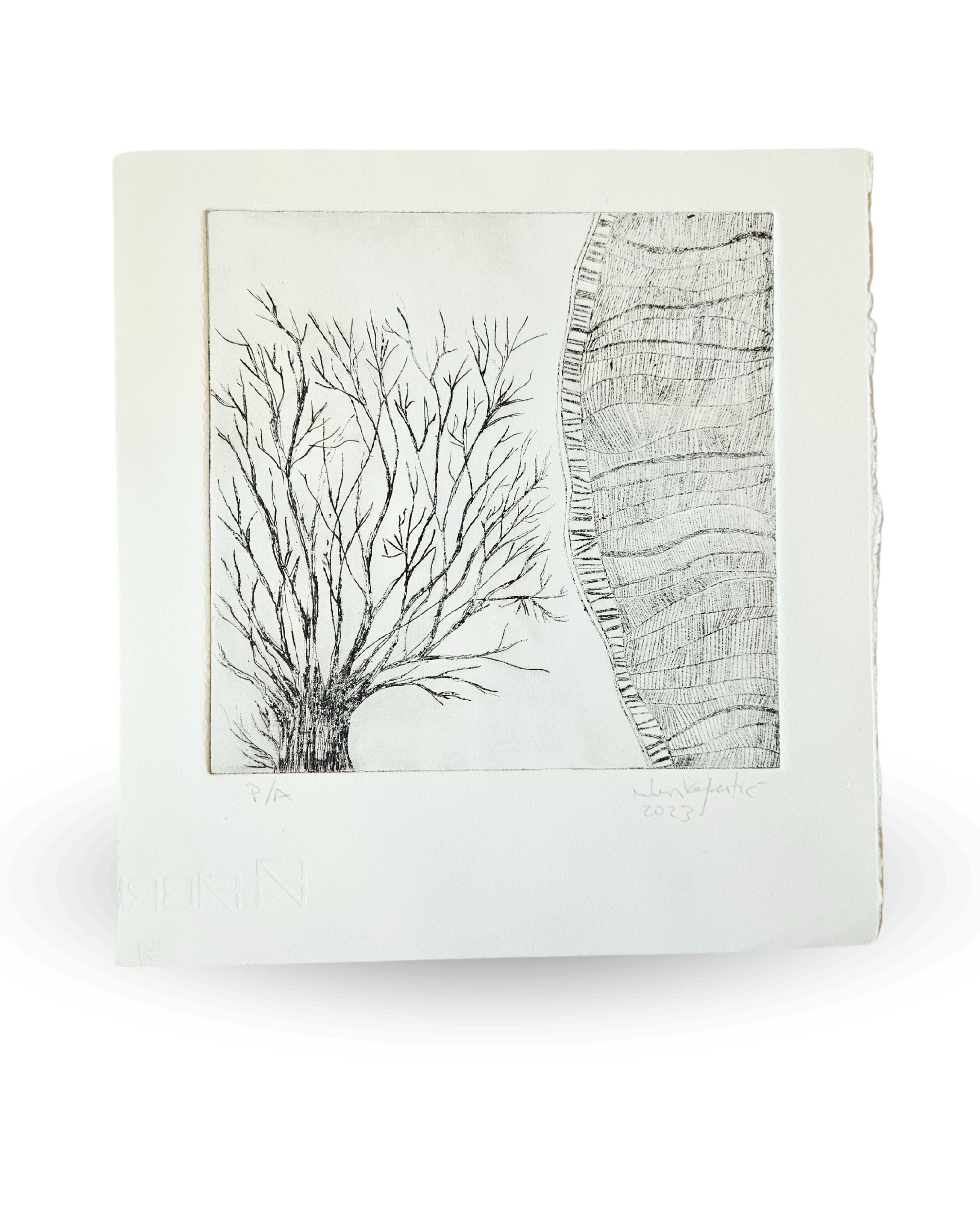 Algún Arbol