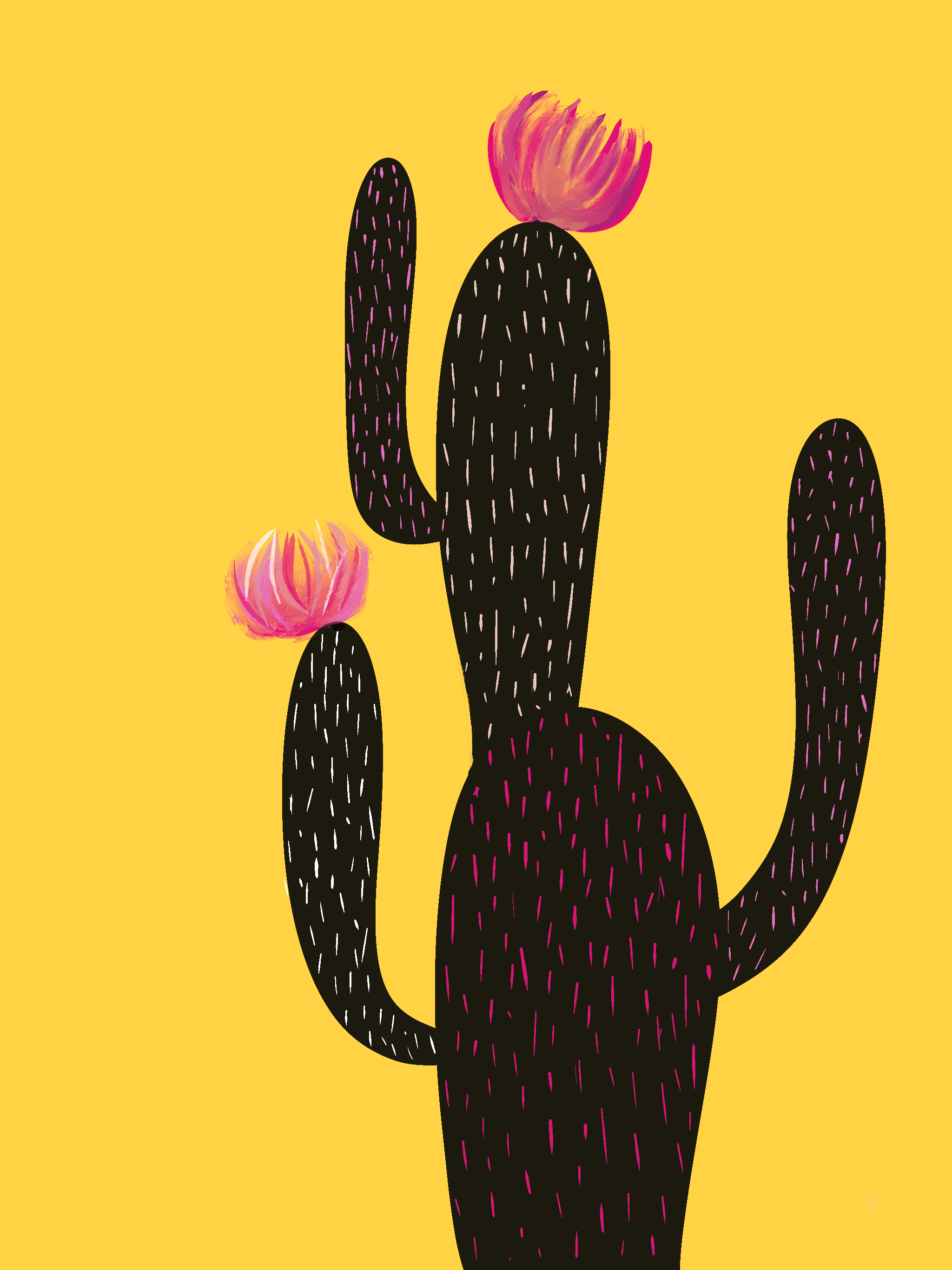 Cactus Amarillo