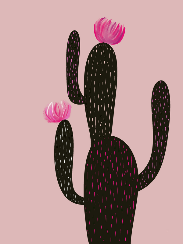 Cactus Rosado