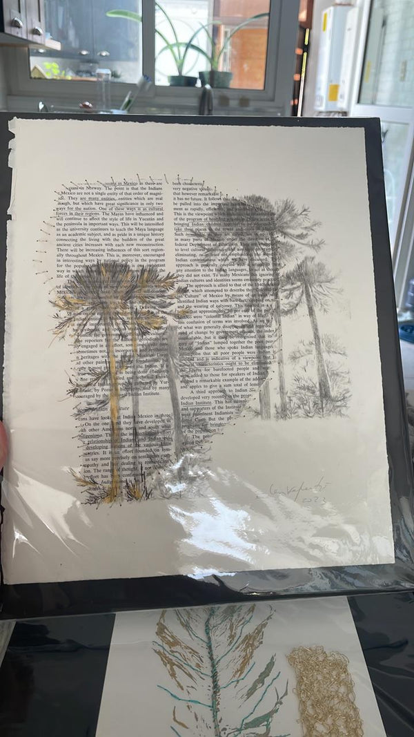 Bosque de Araucarias