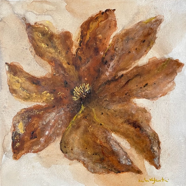 Cosmos