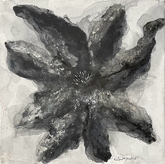 Dalia Negra
